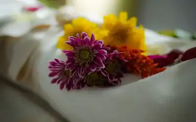 A Guide to Green and Natural Burials in Raleigh NC