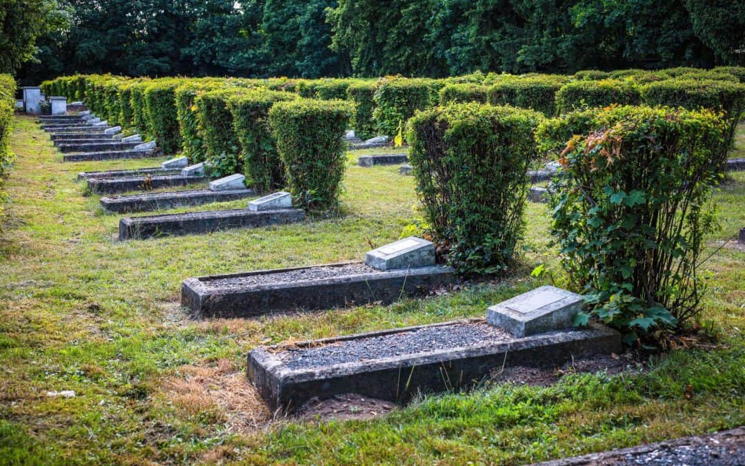 Do Cemeteries Reuse Plots