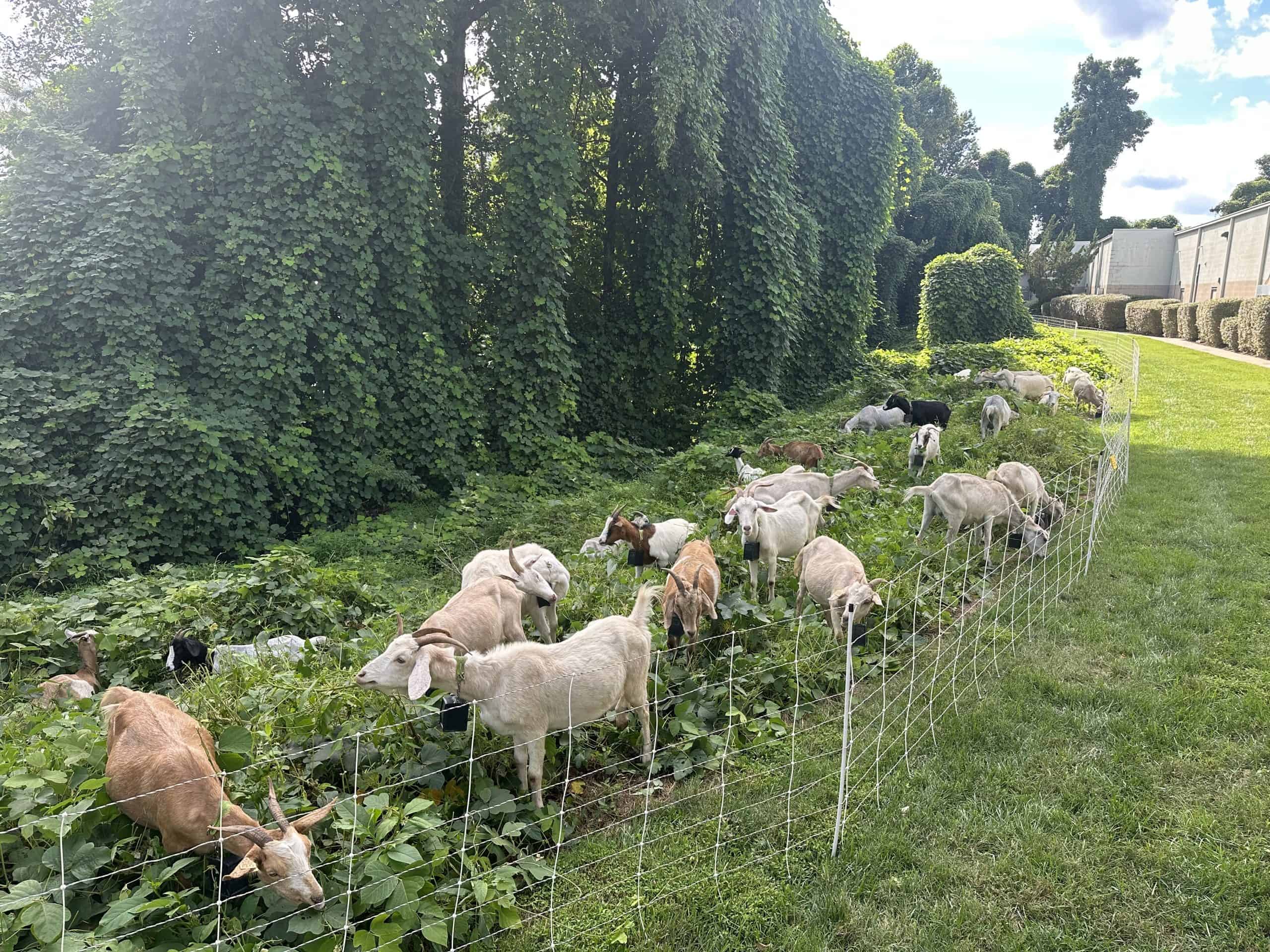 A Vine Dining Experience