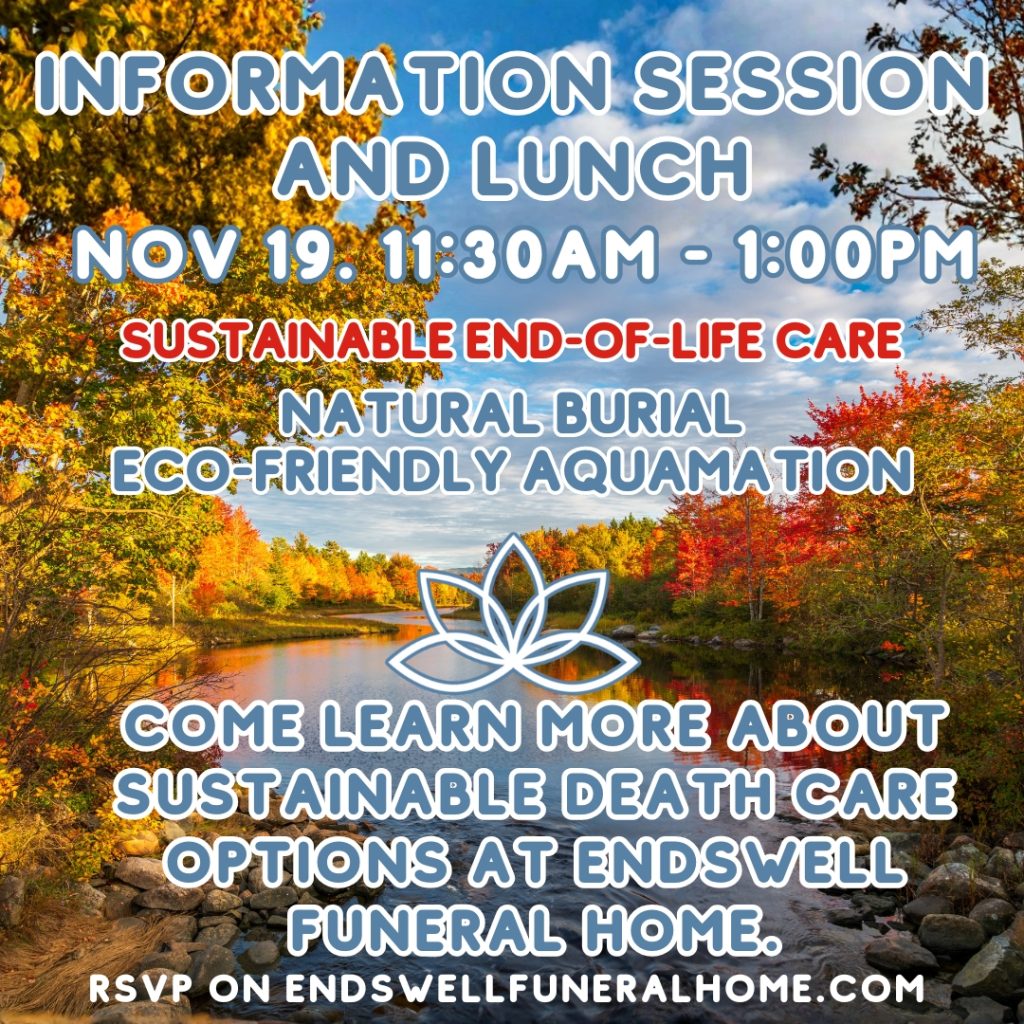 Flyer for the Endswell information session and lunch, 19 November 11:30am to 1pm