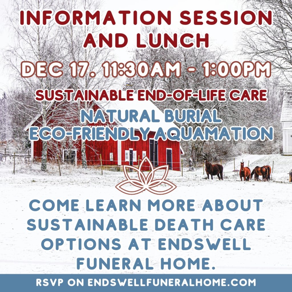 Flyer for the Endswell information session and lunch, 17 December 11:30am to 1pm