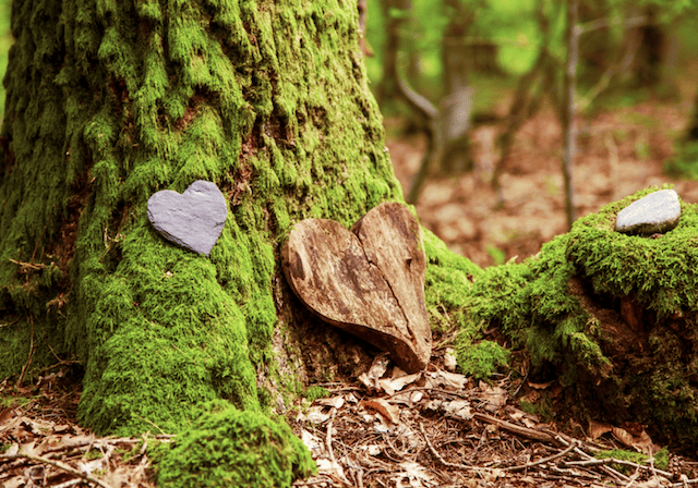 Earth-Friendly Burials @ The Orange County Public Library – 4/15/24